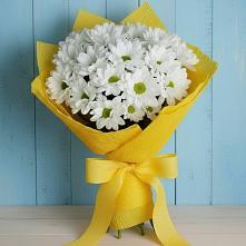 Букет цветов из:  Хризантемы в Ясногорске Забайкальского края