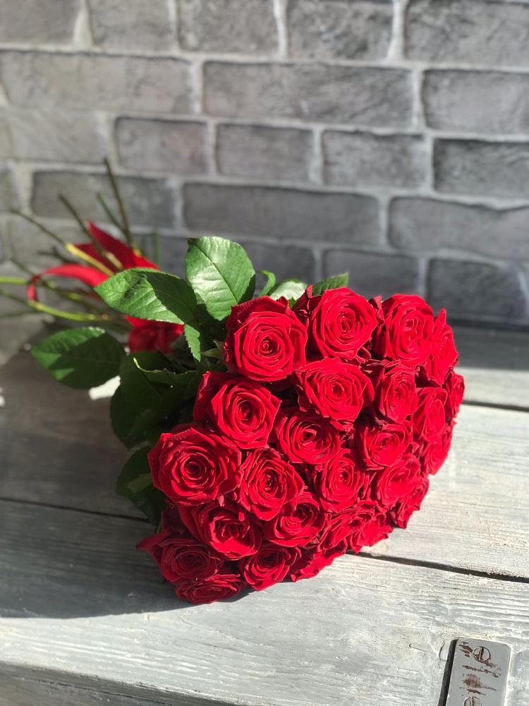 Букет Красные розы Фридом в Ясногорске Забайкальского края