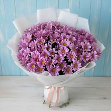 Букет сиреневая охапка в Ясногорске Забайкальского края Букет цветов из:  Хризантемы в Ясногорске Забайкальского края