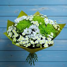 Букет скромность  в Ясногорске Забайкальского края Букет цветов из:  Хризантемы в Ясногорске Забайкальского края